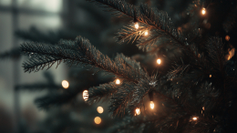 Прекрасные и опасные: какие гирлянды не стоит выбирать для украшения к Новому году