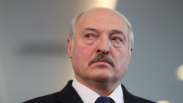 «Разобьют кулак»: Лукашенко об освобождении Донбасса российскими военными