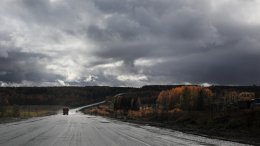 «Обязательно отреагирую»: Путин о развитии «дороги жизни» в Коми