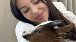 «Наелась травы»: Оксана Самойлова рассказала, куда делась коза Мими