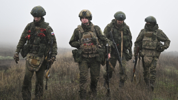 Путин поручил разобраться с вопросом льгот для контрактников на СВО