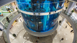 Около 600 человек эвакуировали из ТРЦ «Океания» на Кутузовском проспекте