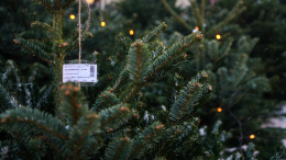 В рамках проекта «Зима в Москве» открылось более 250 елочных базаров