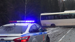 Шесть человек погибли в ДТП с рейсовым автобусом в Омской области