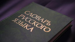 Выражение «схема Долиной» войдет в словарь неологизмов 2025 года