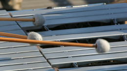 Подросток из Сахалина впал в кому после удара ксилофоном в летнем лагере