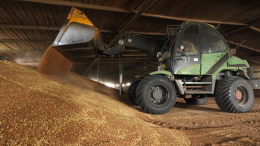 Патрушев: прогнозируемый по итогам года объем гречки полностью обеспечит внутренний рынок