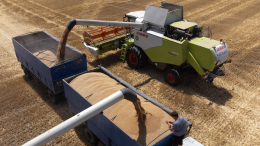 Собранный в этом году урожай зерна в РФ превысил 130 миллионов тонн