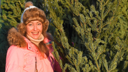 «Можете их не найти»: откуда на елке появляются клещи и как от них избавиться