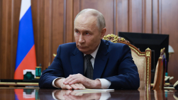 Путину передали список осужденных для возможного помилования