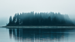 Кости каторжников: древнее кладбище на острове может привести к эпидемии чумы