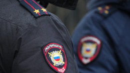 Росприроднадзор обратился в полицию из-за видео со львенком в Петербурге