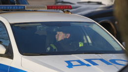 Премиум-автомобиль Ларисы Долиной попал в ДТП в Москве