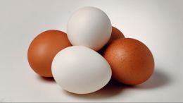 Загадочные буквы: что означают маркировки на упаковках яиц и как определить их свежесть