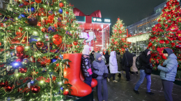 Более 7,7 тысячи предпринимателей участвуют в городском проекте «Зима в Москве»