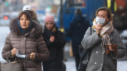 В Санкт-Петербурге на год продлили антиковидные ограничения