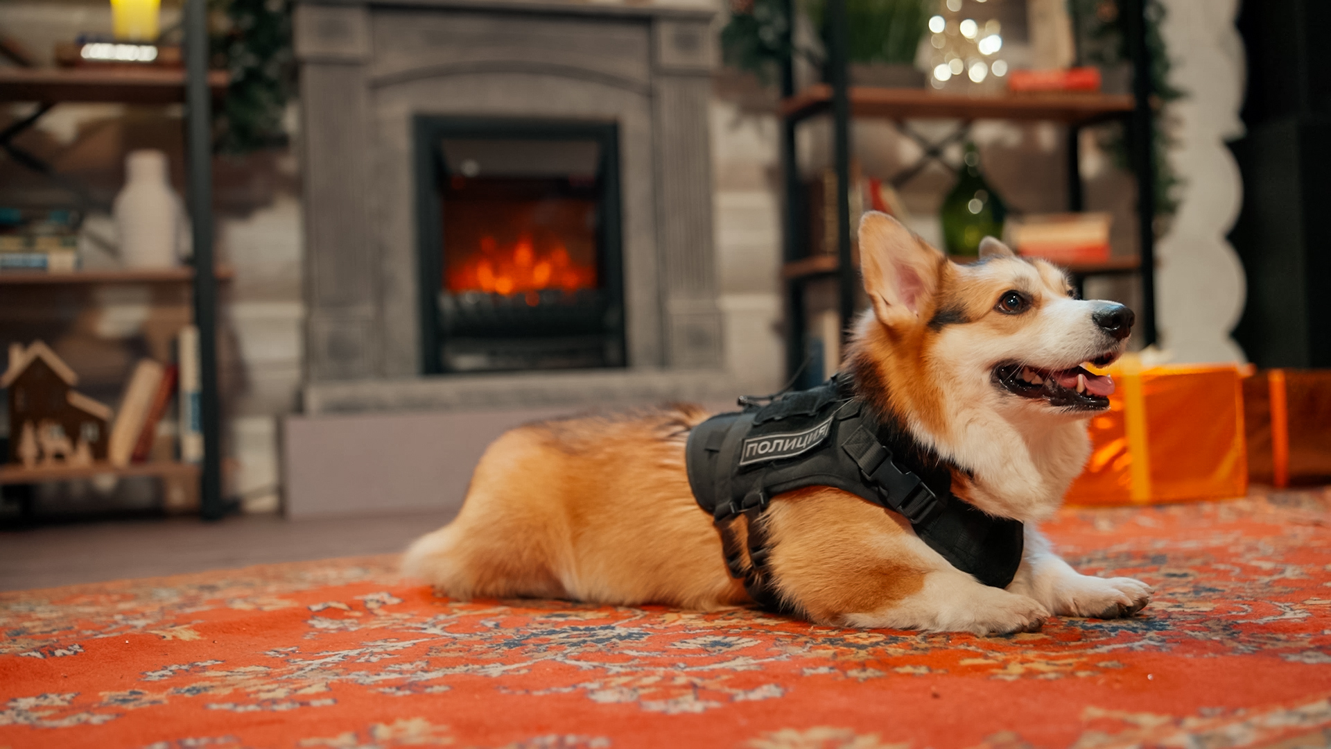 Поём и готовим