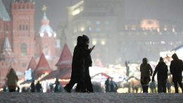 МЧС предупредило о сильном снегопаде и гололедице в Москве в ночь на 28 декабря