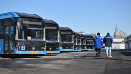 Рекордное количество электробусов вышло на десять маршрутов в Москве