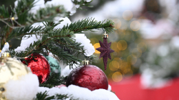 Прогулки отменяются? Какая погода ожидает жителей регионов России на Новый год