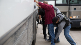 Хотел порадовать детей: безработный отец попался на краже 180 кг авокадо