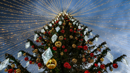 Кремлевская елка вошла в десятку самых высоких новогодних деревьев в мире