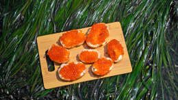 Аналитики подсчитали стоимость бутерброда с красной икрой