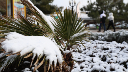 Не прекратится до Нового года: рекордный снегопад обрушился на Крым