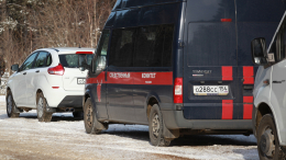 Охотник на нянь: найдены тела убитых Богородским маньяком девушек