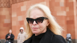 В мошеннической схеме с Долиной использовали десять разных банковских счетов