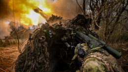 Новая тактика ведения боя: как ВС РФ освобождали село Майское в ДНР