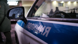 Принимали за бездомную: в Домодедово пожилую женщину с побоями неделю не забирали в больницу