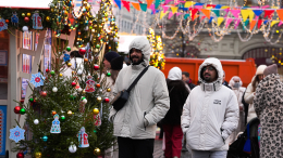 Визит к Деду Морозу и тройка: что удивляет иностранных туристов в зимней Москве