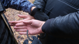 «Охотник на нянь»: в Подмосковье сын помог найти тела двух убитых его отцом девушек