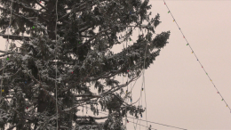 Жители регионов РФ критикуют городские украшения и елки от местных властей