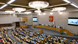 В Госдуме потребовали выяснить, кто не впускает россиян в Грузию