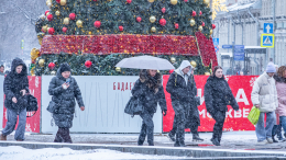 На любителя: какая погода ждет жителей Москвы в новогоднюю ночь и утром 1 января