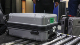 Экзотический груз: в багаже пассажира из Вьетнама нашли 3 кг замороженных червей