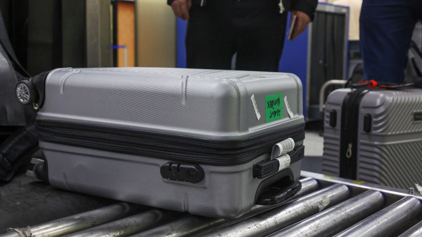 Экзотический груз: в багаже пассажира из Вьетнама нашли 3 кг замороженных червей