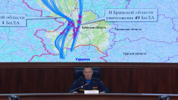 Нейтральная позиция: реакция СМИ на брифинг Минобороны РФ