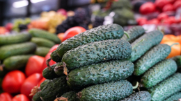 Участник московской ярмарки оказывает поддержку бойцам СВО