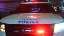 Мужчина застрелил мать-художницу и брата-инвалида в доме на элитном острове