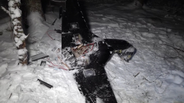 Атака ВСУ на резиденцию Путина поставила Европу в опасное положение