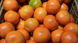 Россия стала крупнейшим покупателем мандаринов в мире