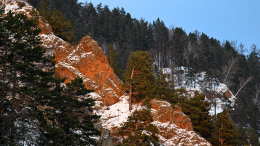 Минус версия: в СК не подтвердили возможность побега Усольцевых за границу