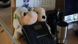 Россиянам рассказали о сокращенных рабочих неделях в 2026 году