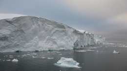 Угроза из льдов: древний айсберг может выпустить неведомые бактерии