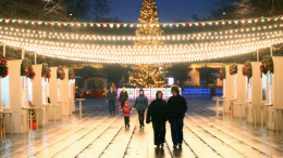 Собянин: Парк «Сокольники» стал еще более удобным для семейного отдыха