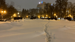 За ночь в Подмосковье выпало две трети месячной нормы снега