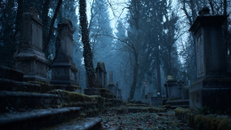 Мужчина похитил около 100 трупов и превратил подвал в хранилище черепов